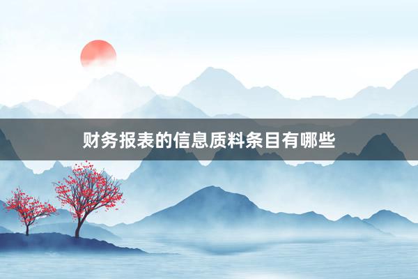 财务报表的信息质料条目有哪些