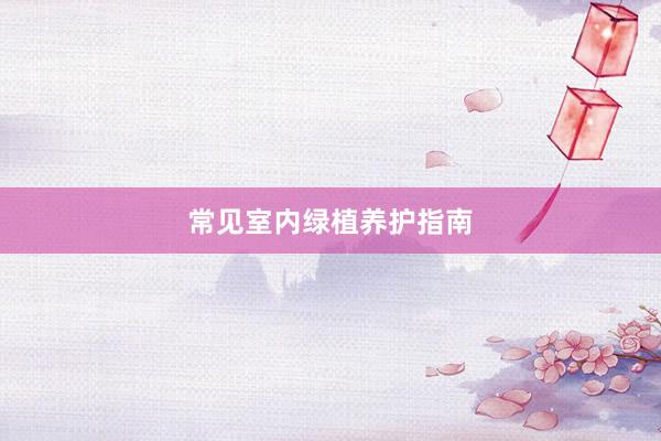 常见室内绿植养护指南