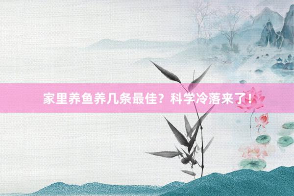 家里养鱼养几条最佳？科学冷落来了！